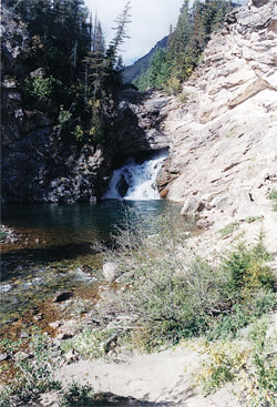 Running Eagle Falls, also called the “Trick Falls,” is a popular hiking destination for tourists at the wild and rugged Glacier National Park in northwestern Montana. The park preserves more than a million acres of forests, alpine meadows, lakes, rugged peaks and glacial-carved valleys in the Northern Rocky Mountains. More than 750 miles of hiking trails traverse the national park. (Submitted photo by Ed and Cynthia Dewes)